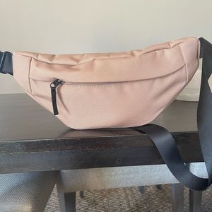 Everlane - The Renew Transit Fanny Pack